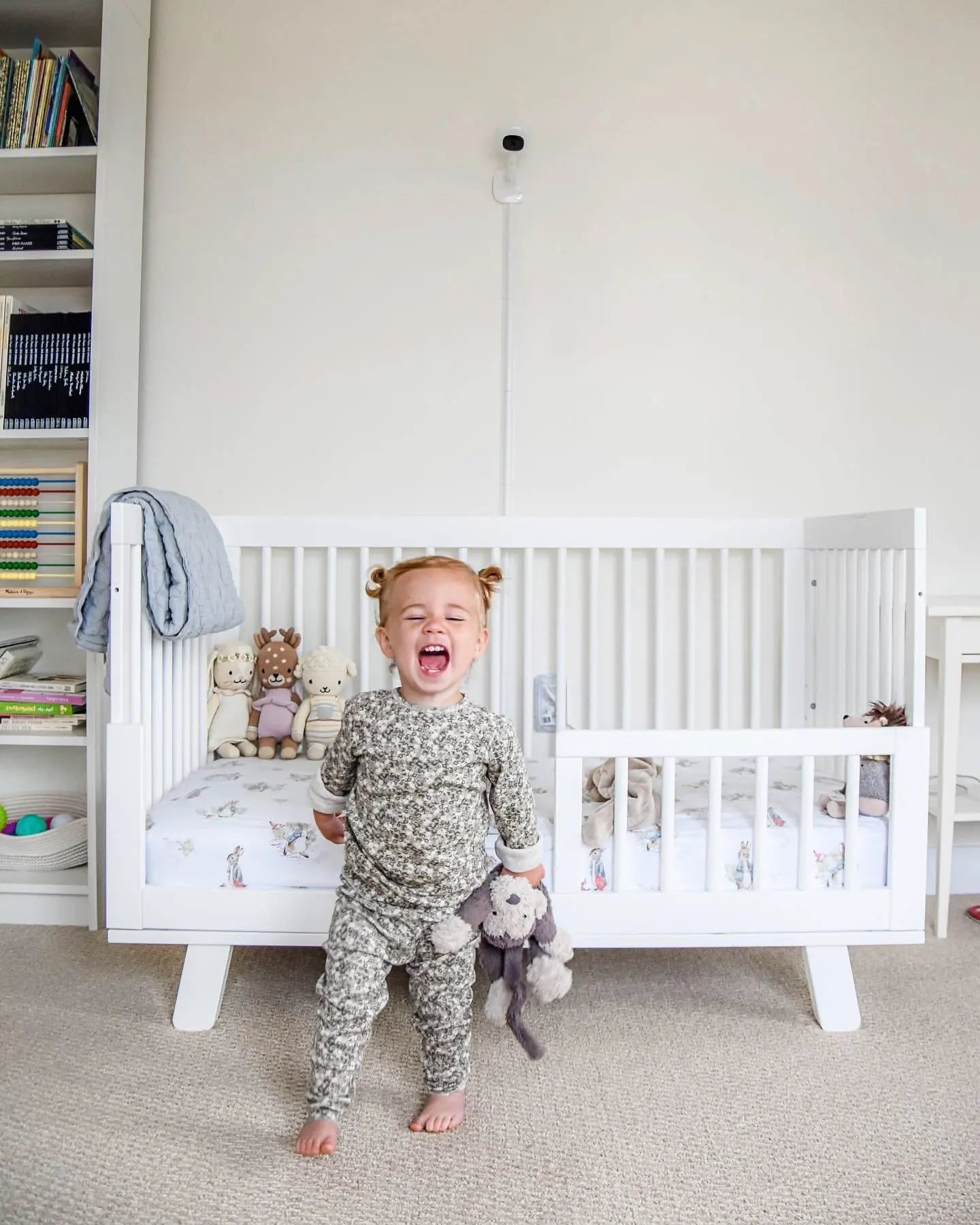 nanitbabymonitor.it.com