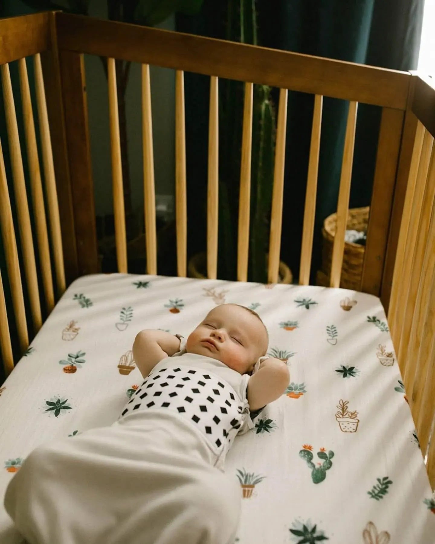 nanitbabymonitor.it.com